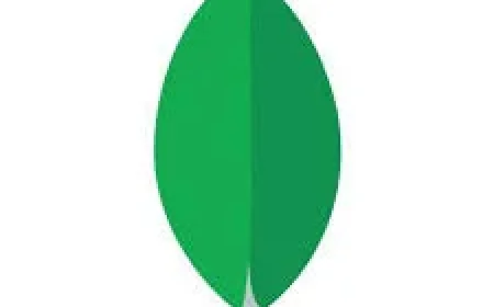 MongoDB Sets Mdb Stock Up for May 28 Earnings