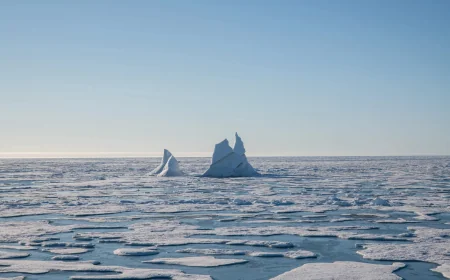 Arctic Ocean nitrate levels fall after 2009 sea-ice loss