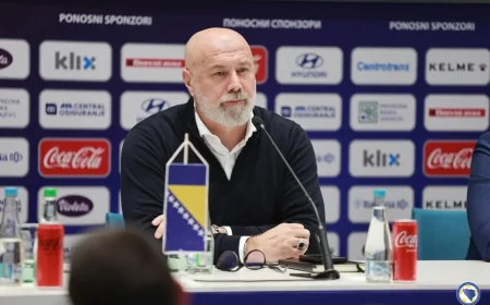Barbarez Sets Bosnia And Herzegovina Vs North Macedonia Test Before Panama