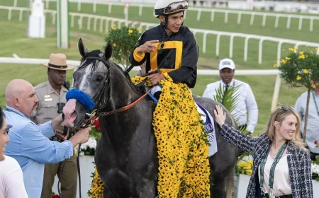 Napoleon Solo Preakness Sale Sends Winner to ESPOIR USA, Inc.