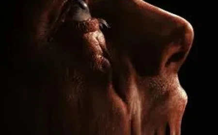 Volker Bertelmann Scores Clayface, Dune Movie Team Gains Oscar Winner