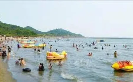 Phú Quốc draws 1.17 million foreign visitors, lifts An Giang tourism
