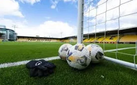 Glenn Whelan Takes Charge at Livingston After Relegation