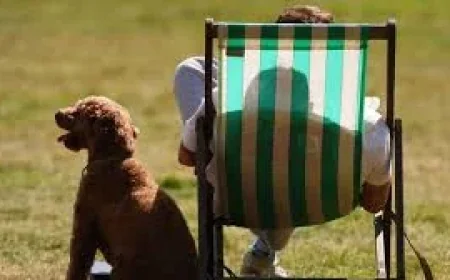 Met Office warns London rain will End Of Uk Heatwave after 35.1C