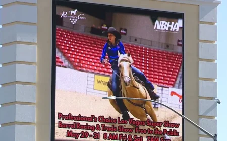 Police Arrest Teen in Las Vegas Horse Stabbing at South Point
