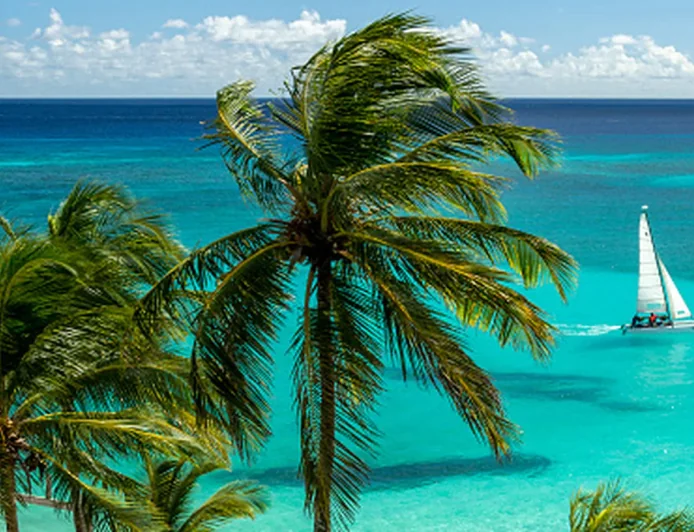 Barbados Tops Caribbean Daily Costs as Travelers Cut Back