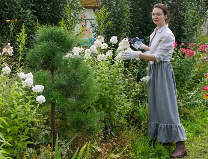 Sarah Eberle wins Chelsea flower show top prize, Perennial prize