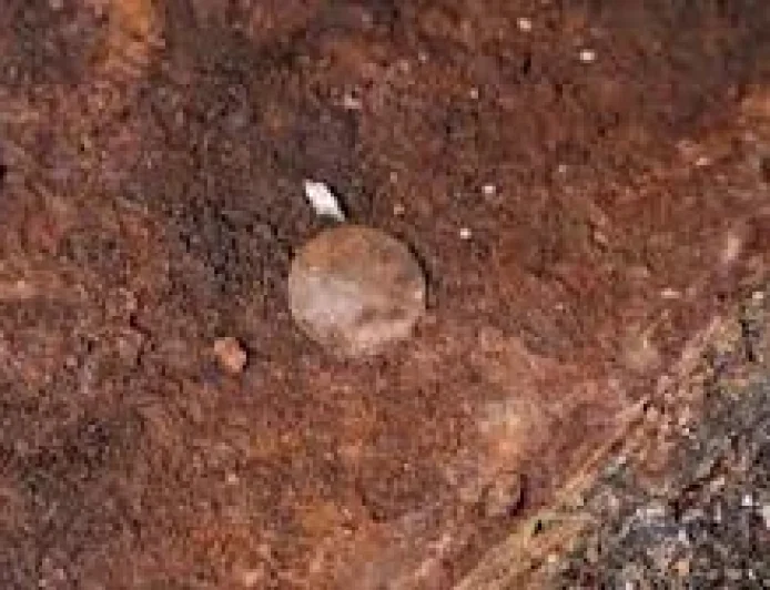 Andrew Baines links six finds to Hms Victory Mast Coins
