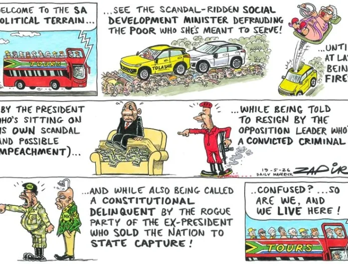 Julius Malema and VBS cash comment appears in Daily Maverick piece
