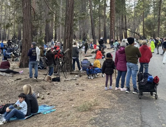 Yosemite National Park Visitor Congestion Surges as 1.8-Mile Roadside Line Forms