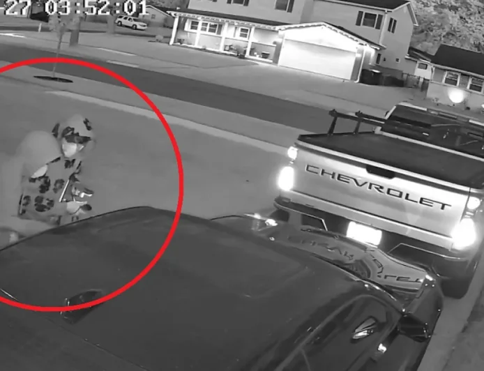 Elk Grove Village homeowner scares off Camaro burglars at 4:52 a.m.