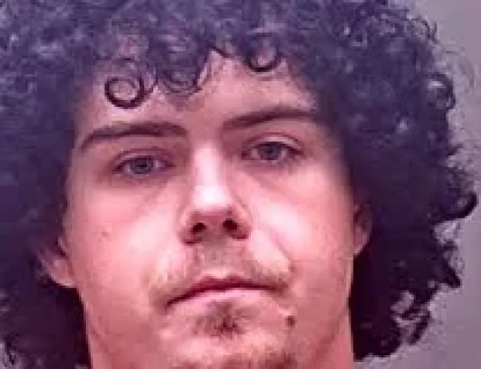 Timothy Chandler Pleads Guilty After Hundreds of Mail Pieces Found — Postal Worker