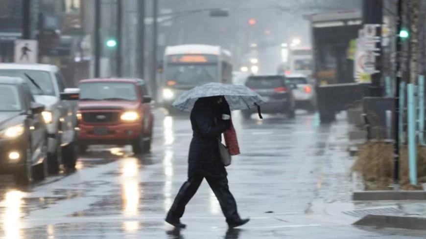 Environment Canada Issues Halifax Weather Statement for 30 to 50 mm