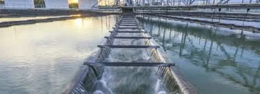 American Water Advances 2026 Grants and Infrastructure Upgrades