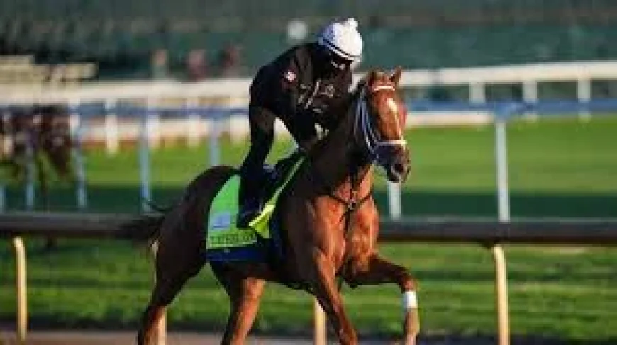 Renegade Draws No. 1 Post as 4-1 Kentucky Derby Favorite