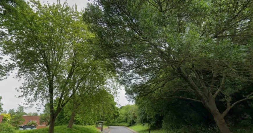 Police update Milton Keynes on Greenleys Lane death, Wolverton arrests