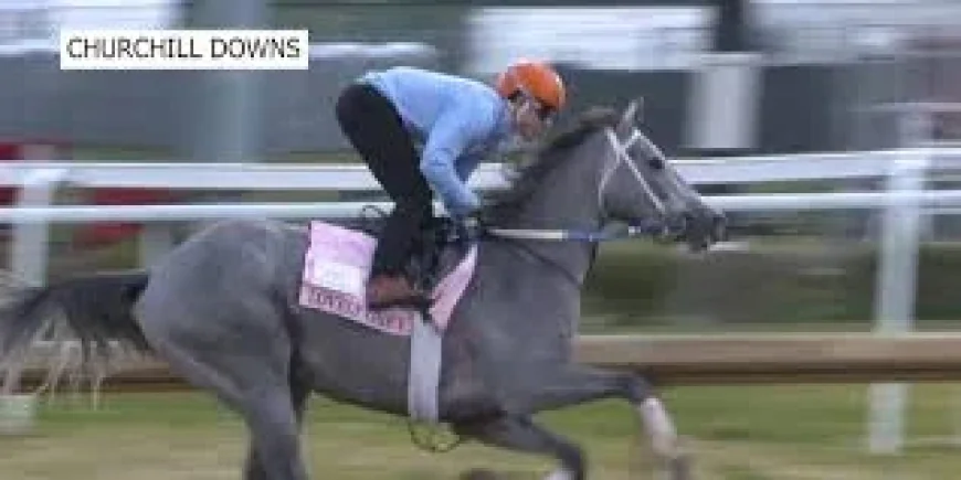 Dave Portnoy Sends Lovely Grey Into 152nd Kentucky Oaks