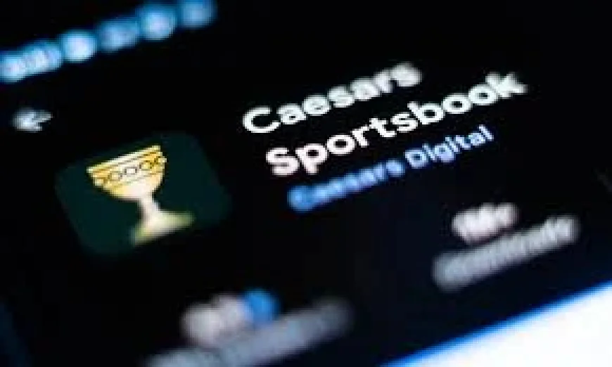 Betmgm cuts 2026 revenue guidance as prediction markets bite