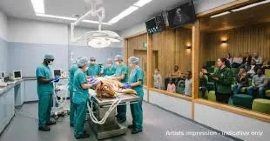 Mystery £20m donation funds London Zoo vet viewing gallery