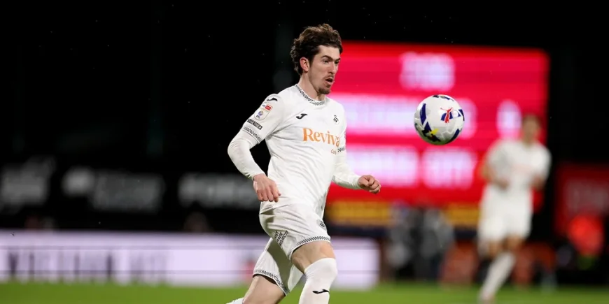 Charlton Seal Safety Before Swansea Vs Charlton Finale