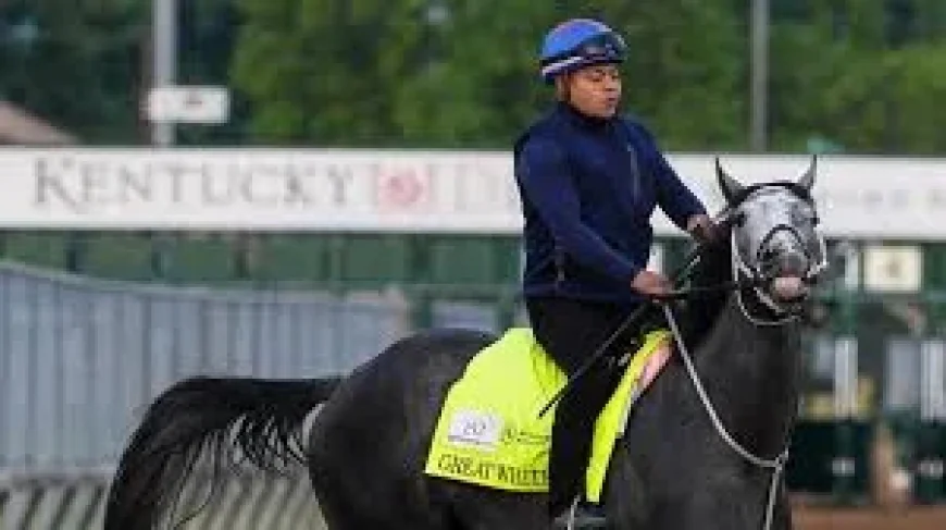 The Puma Horse Scratched as Derby Field Drops to 19