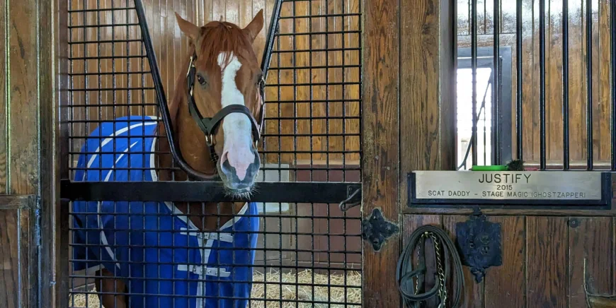 Bill Mott Skips Preakness, Rekindling Triple Crown Winners Debate