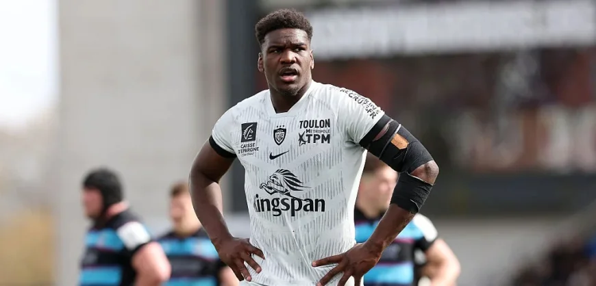 Pierre Mignoni Names Four English Players in Toulon XV for Leinster Rugby
