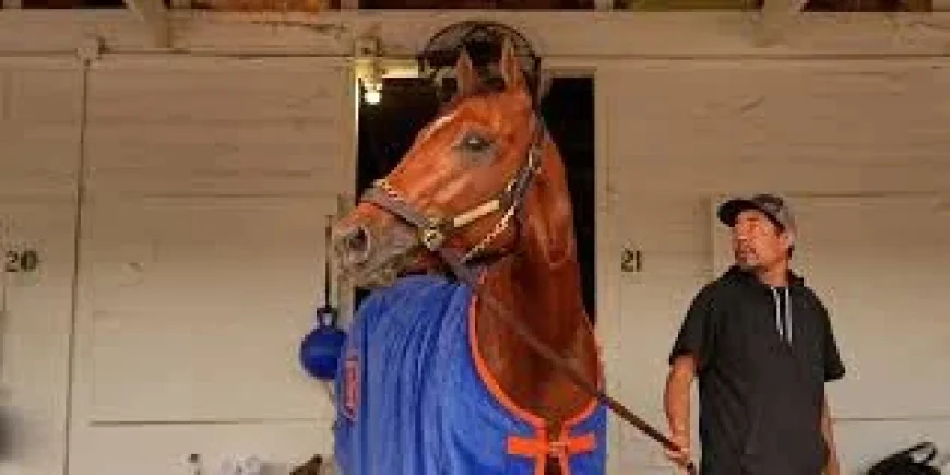 Mike Repole Threatens The Jockey Club Lawsuit With Renegade At Derby