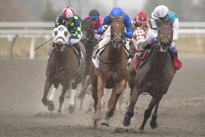 Woodbine Links Churchill Downs Page To 152nd Kentucky Derby — When Is The Kentucky Derby 2026