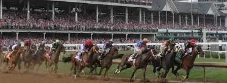 Crude Velocity Horse Leads 2026 Pat Day Mile Field at 5-2