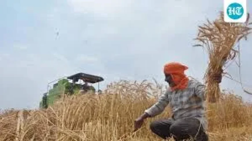 Punjab’s Green Revolution leaves 80% Cropped Area trapped