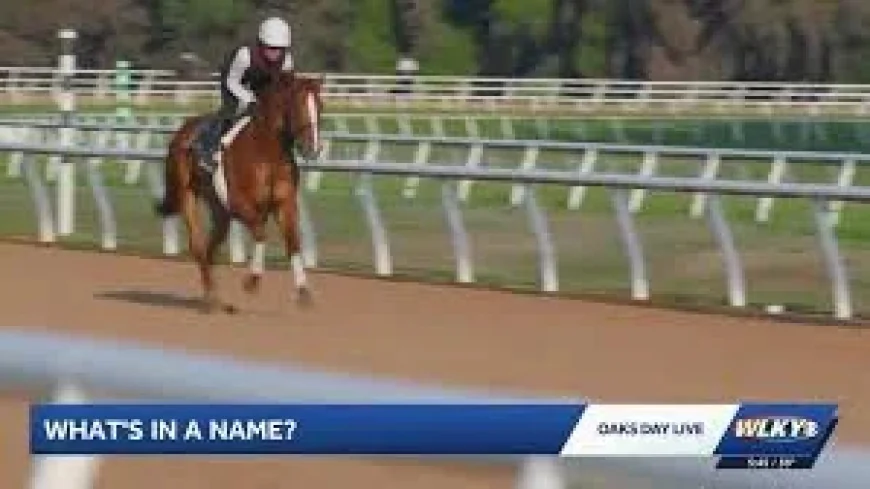 The Puma Tops 2026 Kentucky Derby Rankings — Wonder Dean