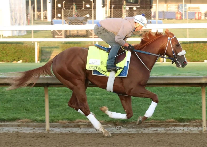 Robusta Replaces Right To Party Horse in Kentucky Derby Gate