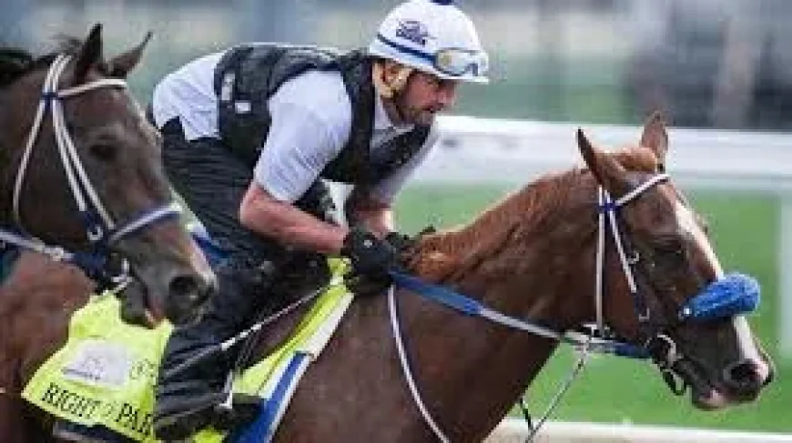 Louisville Ky Weather Forecast Holds Derby Day at 59 Degrees