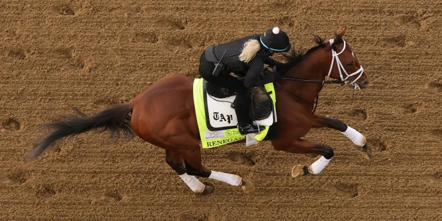 Mike Repole backs Renegade as Daisy Phipps Pulito flags Derby favorite