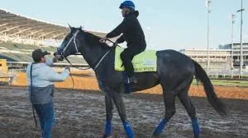 John Ennis Says Great White Kentucky Derby Scratch Followed Flip