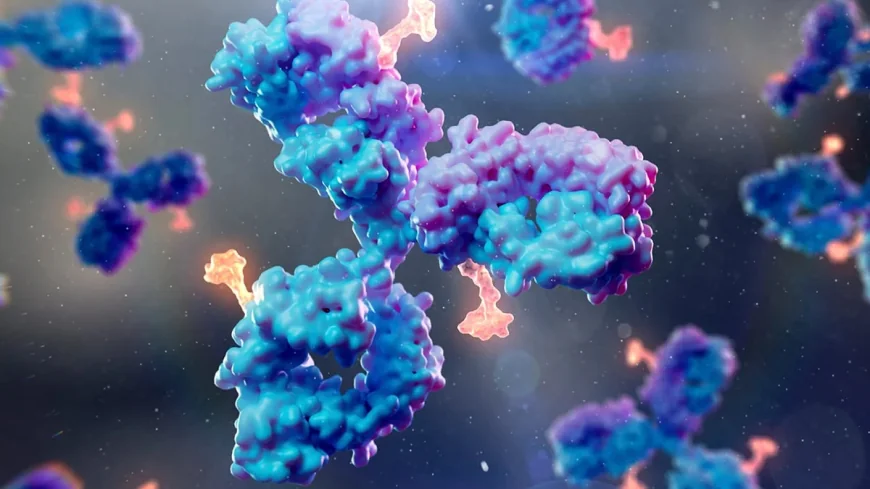 Scientists Develop 10 Antibodies Against Epstein–barr Virus
