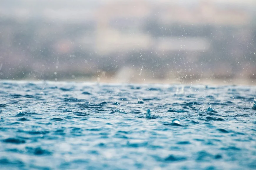 Environment Canada Halifax warns of 25 to 40 mm of rain Sunday