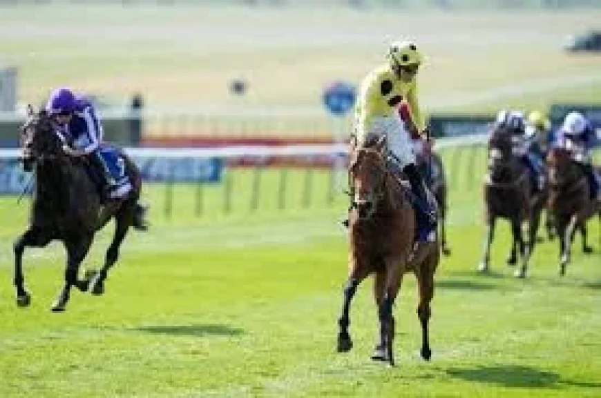 Loughnane Wins 2,000 Guineas on Bow Echo at Newmarket