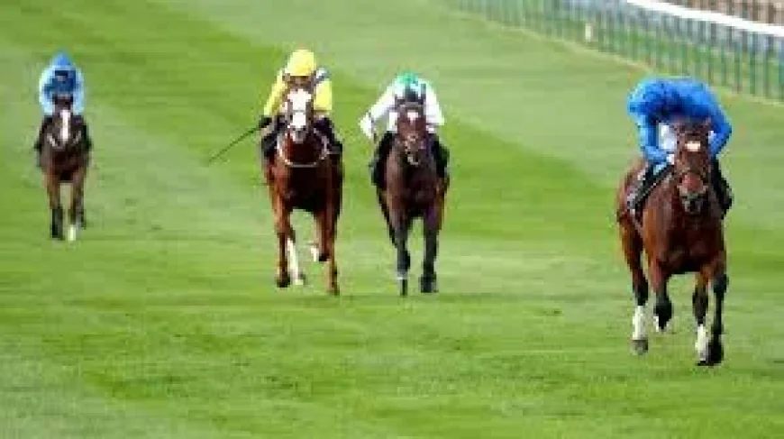 Falakeyah backed to 11-4 for Dahlia Stakes at Newmarket — 1000 Guineas 2026