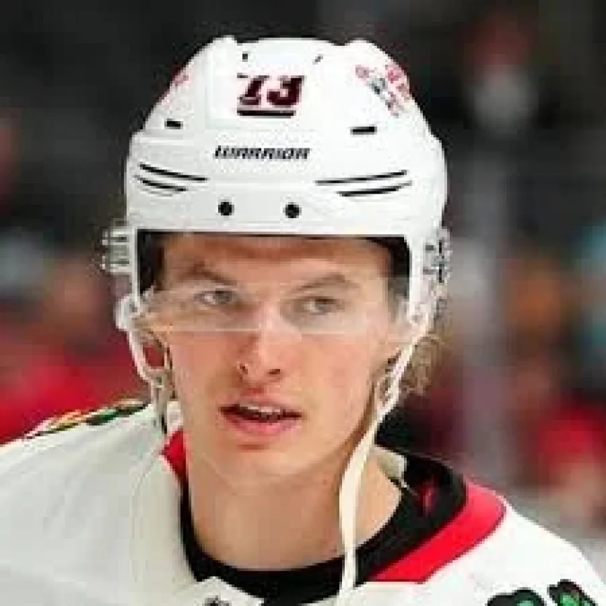Tyler Heineman assigned as Lukas Reichel heads to AHL Providence