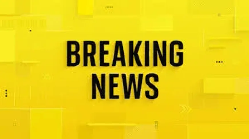 Three dead in suspected outbreak aboard Mv Hondius