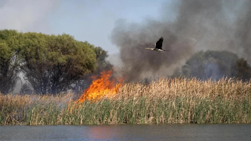 DFES Contains Herdsman Lake Fire Perth by 11.55am
