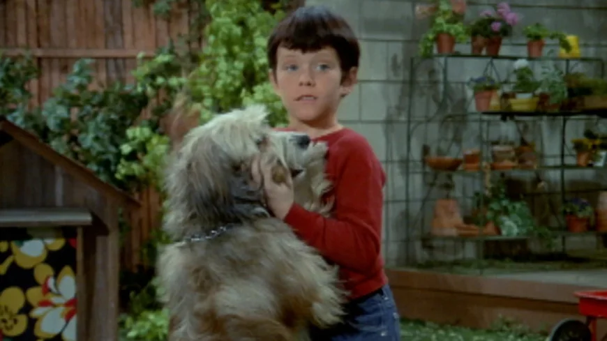 Sherwood Schwartz Reveals The Brady Bunch Tiger Was Replaced