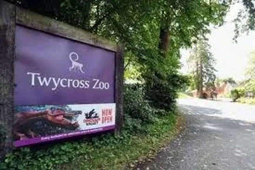 Stacey Dean submits plans for 42 children next to Twycross Zoo