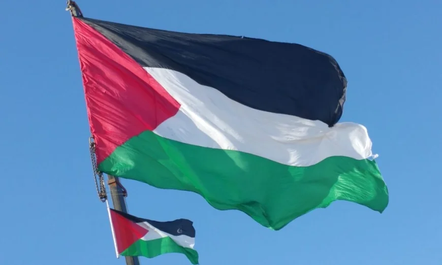 115 Senedd candidates sign Palestine pledge — Tenby