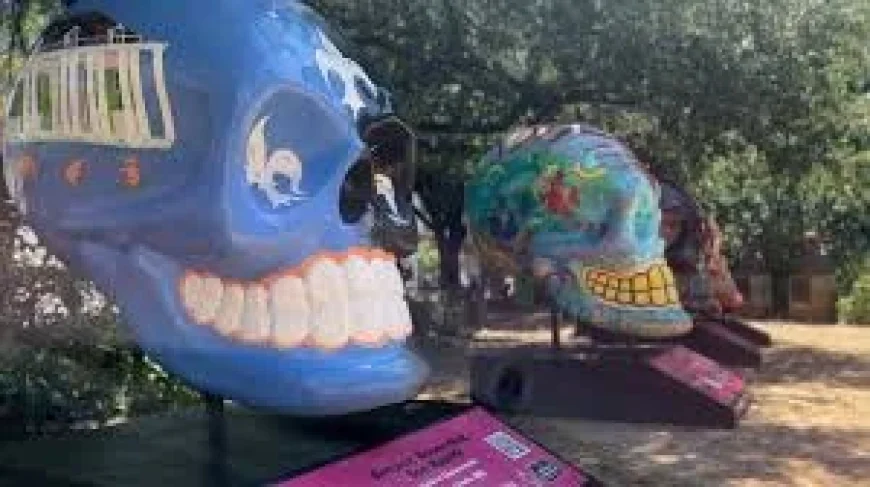 Andrea K. Moreno Highlights Cinco De Mayo 2026 Deals in San Antonio