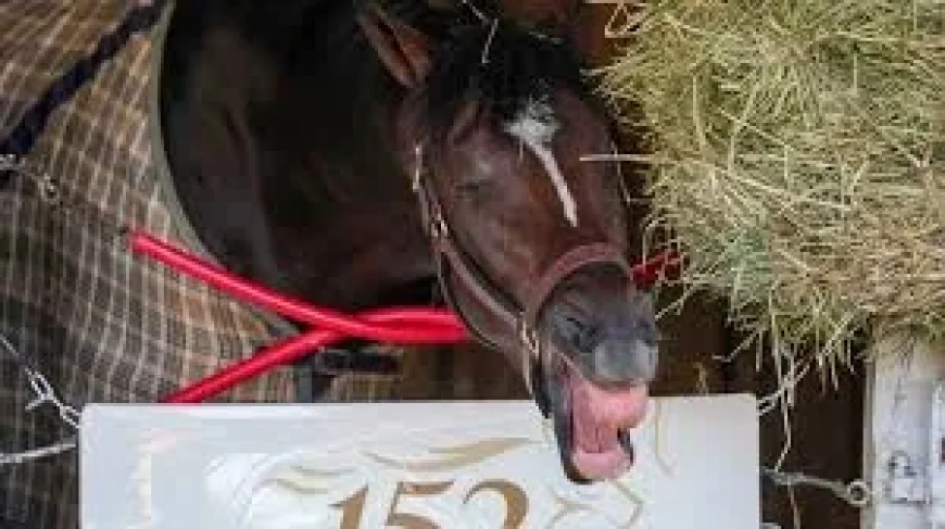 Golden Tempo Wins Kentucky Derby, Gives Cherie DeVaux Horse Racing First