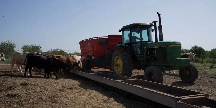 Glenneda Zuiderveld boycott cuts 80 percent of Tom Zuiderveld income
