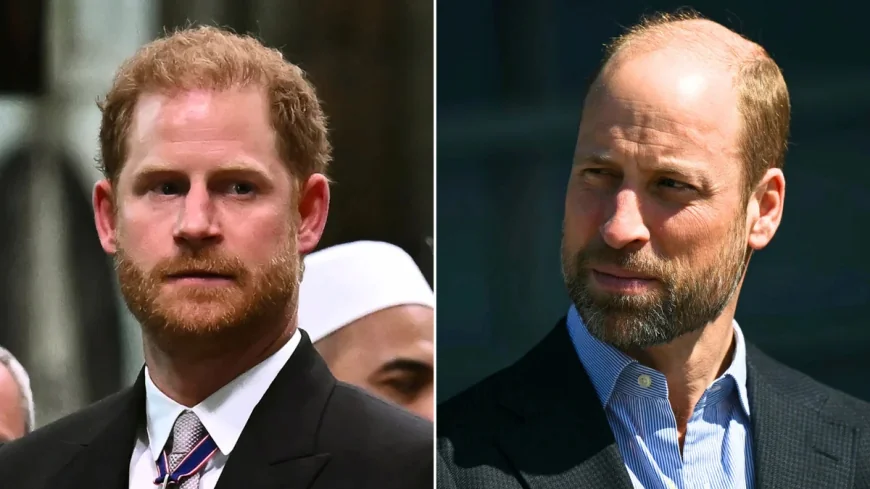 Meghan Markle Uses OneOff Amid Prince William Prince Harry Feud